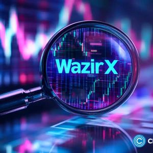 Inside job or cover-up? New accusations add fuel to the WazirX controversy