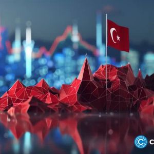 Coinbase withdraws pre-application to enter Turkish market