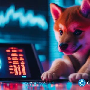 Baby Doge Coin surges over 75% following Elon Musk’s cryptic tweet