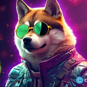 Shiba Inu price and burn rate are falling: time to sell?