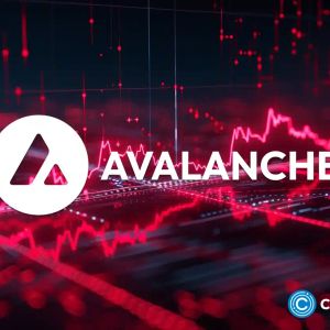 Avalanche raises $250m to fuel L1 upgrade