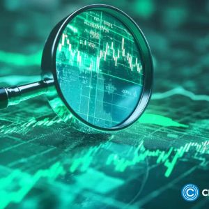DOGE, PEPE, XYZ: Analyzing the leader of the 2025 meme coin race
