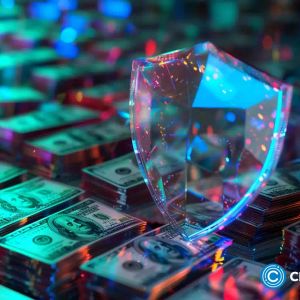 Crypto’s next big thing isn’t meme coins, it’s stablecoins