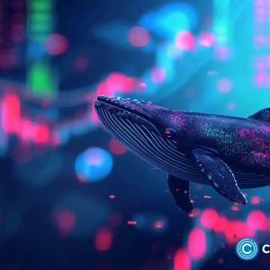 Whale-endorsed crypto eyes 46,700% gains, leaving PEPE and BONK