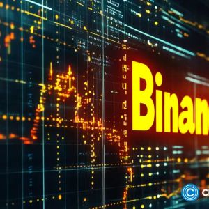 Should I HODL or buy more crypto? Binance offers investment advice