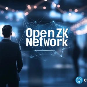 Ex-Goldman Sachs and Morgan Stanley exec joins OpenZK Network as co-founder