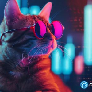 Next SHIB: Investors bet big on CATZILLA as presale exceeds expectations