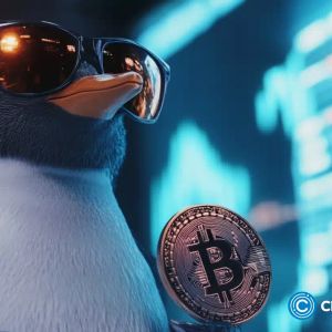 Meme coin spotlight: Baby Pengu, Strips Finance and an H.P. Lovecraft-inspired token spark interest