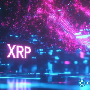 Ripple millionaire gets $20m after recent pump, invests in DTX Exchange