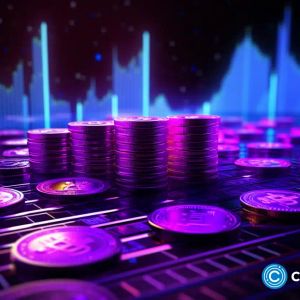 Polygon meme coin positioned to overtake ADA and DOGE in the race to $10