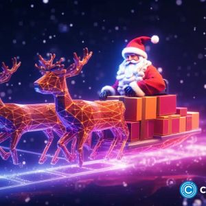 Christmas bull run: Top 5 meme coins for 12,000x gains