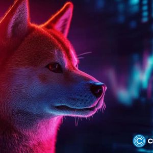 DOGE losing ground; This blockchain coin is quickly gaining momentum