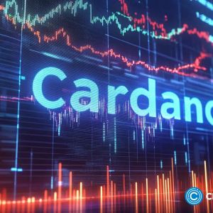 Cardano up 77%; What to expect from ADA and competitor Lightchain AI in 2025