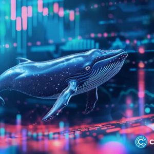 Whales are buying up these AI crypto coins: 3 future blue chips