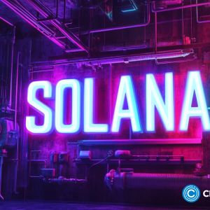 SOL works to revive momentum while Catzilla emerges as rising star