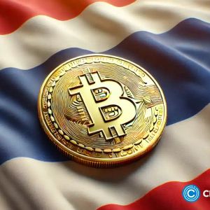 Thailand SEC considers green lighting Bitcoin ETFs as active crypto accounts near 300k