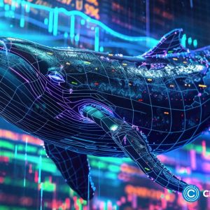 What whales are keeping secret about Stellar, Sui, Kaspa, and XYZVerse