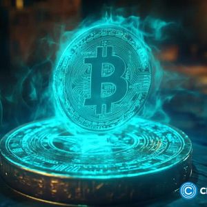 Bitcoin could rise to $150k in 2025: Impact on XRP and new Solana meme coins