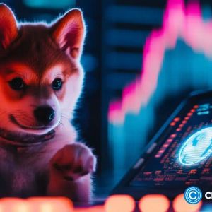 Analyst who bought DOGE in early says this token could see massive rally