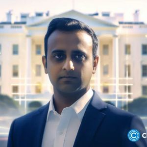 Vivek Ramaswamy steps down from DOGE leadership role