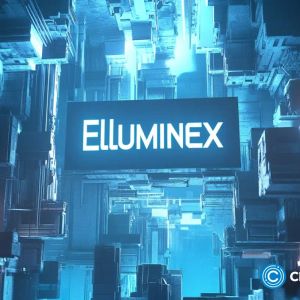 Ethereum’s 2017 run was legendary; Elluminex aims to be next