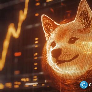 Musk-led DOGE spots Dogecoin logo on website