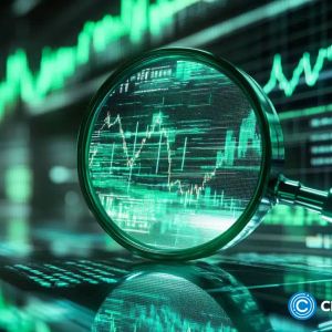 Experts tip Remittix as leading option after fears that SOL, XRP have topped