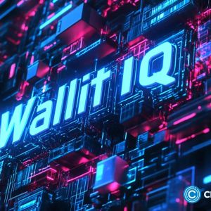 NEAR set to soar, but experts back WallitIQ to outshine Chainlink this cycle