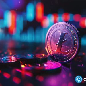 Litecoin price rises as LTC ETF approval odds jump