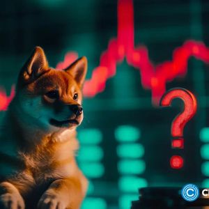 SHIB whales exit meme positions, new altcoin sees capital inflows