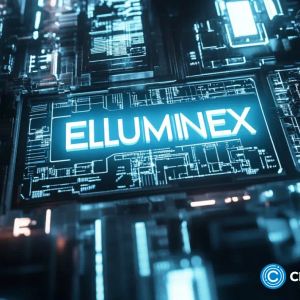 Elluminex debuts cross-bridge solution on TON network as XRP fluctuates