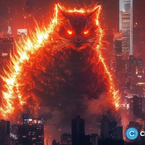 Massive gains ahead: Catzilla, Raydium, or FET