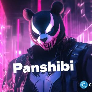 Shiba Inu’s future in December as Panshibi draws big investments in presale