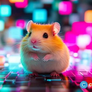 Hamster Kombat price loses support ahead of Tapswap airdrop