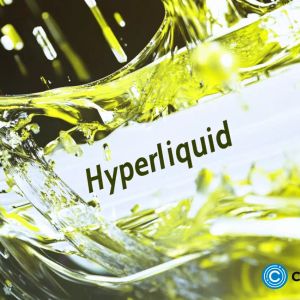 Hyperliquid price prediction: How high will HYPE token go?