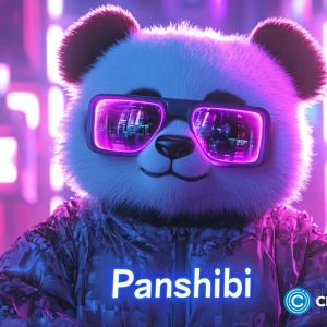 SHIB drops 30% this year, SOL’s meme markets stall but Panshibi rises against adversity