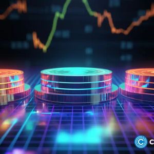 BNB Chain, Cardano, and Rollblock to set alight 2025 amid claims of becoming top altcoins