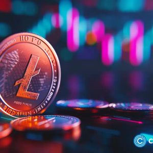 Litecoin daily transactions ballooned by ETF buzz