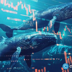 Whales are abandoning TRX and ADA for this hot meme coin with 12,500% growth potential