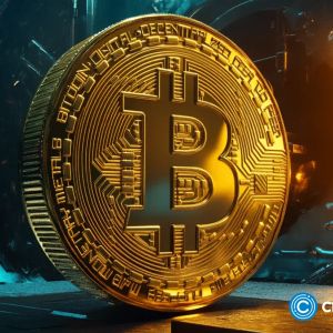 $1b liquidations as Bitcoin drops; traders find shelter in this altcoin