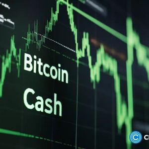 Bitcoin Cash soars 30% to lead top coins amid market bounce