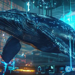 Whale buying ramped up as Bitcoin struggled below $80K