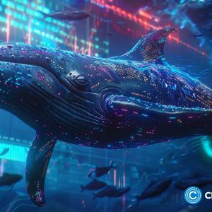 A whale is being ‘hunted down’ for short positioning over 5,400 BTC with 40x leverage