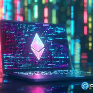 Ethereum holders are rushing to this hot new altcoin