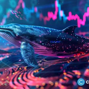 Nansen: Whales quietly buy Ethereum as prices stagnate