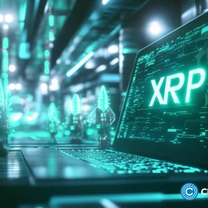 CME Group plans to launch XRP futures on May 19