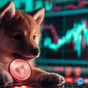 BabyDoge returns to range low: can accumulation spark another rally?