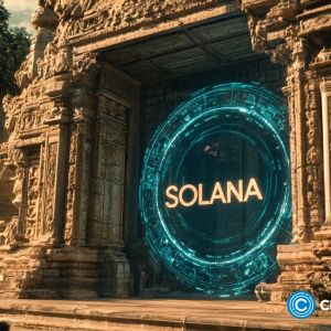 Stablecoins are the next big thing for Solana as memecoin frenzy cools | Opinion