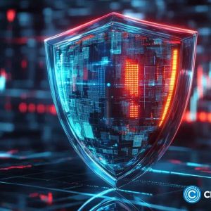 Immunefi and Dedaub join forces to bring onchain firewall to Magnus