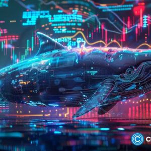 POL whales accumulate this new Polygon-based crypto poised for growth
